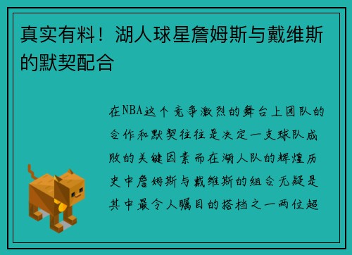 真实有料！湖人球星詹姆斯与戴维斯的默契配合